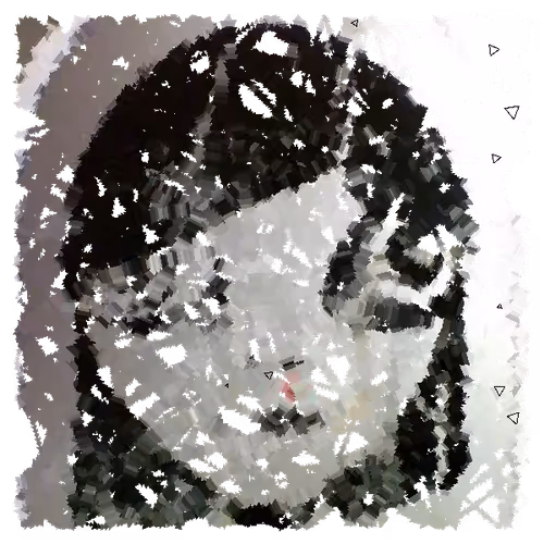 Unfinished Portrait