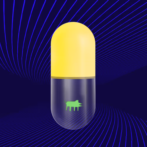 Pillnft