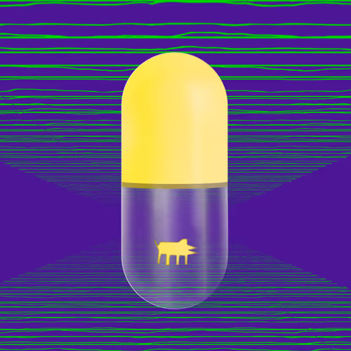 Pillnft