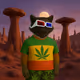 OG MK Raccoon #201