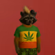 OG MK Raccoon #197