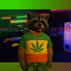 OG MK Raccoon #210