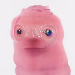 329