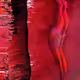 233