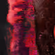 232