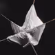 Surface/Tension