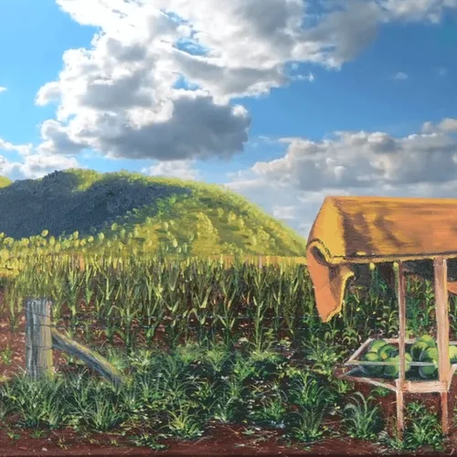 Australian Outback
