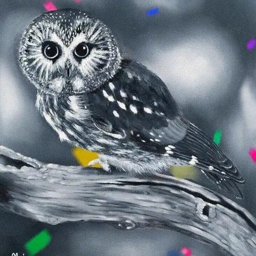 Owl