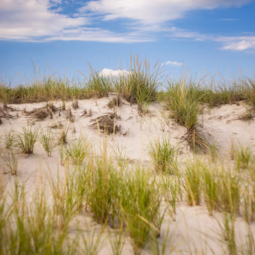 Dunes