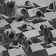 46