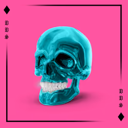 Dead Diamond Society #1771