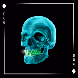 Dead Diamond Society #1852