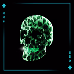 Dead Diamond Society #1007