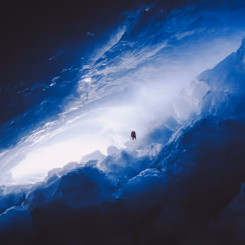 Jenna Dixon Landscape Chronicles