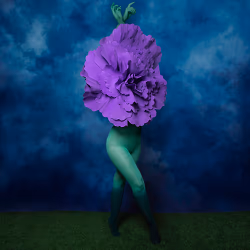 Something More Than Flowers