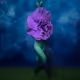 Something More Than Flowers