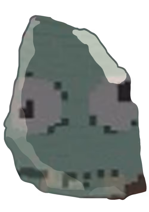Item #55 Media