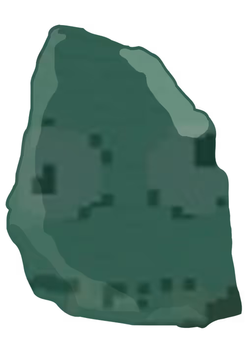 Item #66 Media