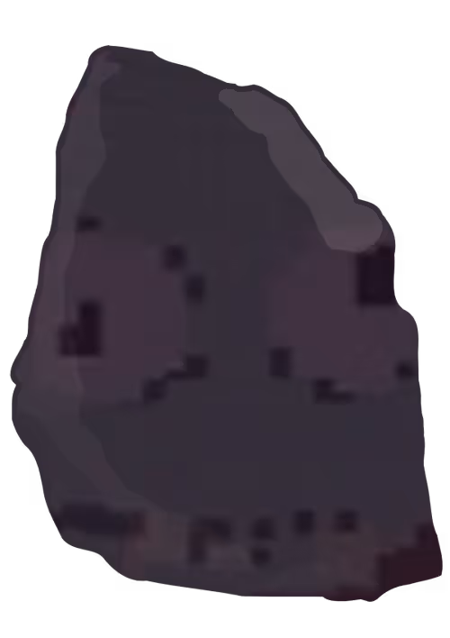 Item #51 Media