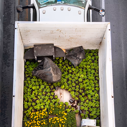 Urbantransportationplants