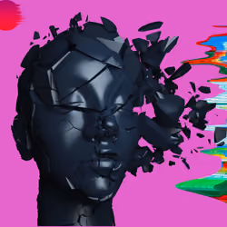 DiStOrSoN #132
