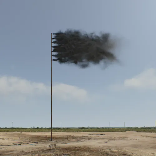 Western Flag (Spindletop, Texas) 2017