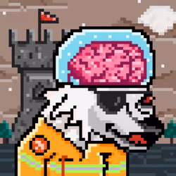 1029