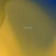 251
