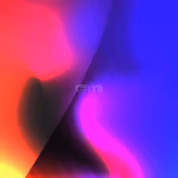 231