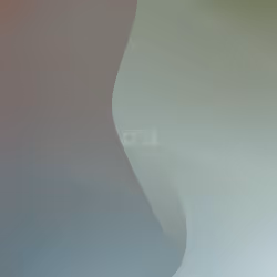 206