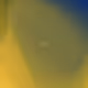 351