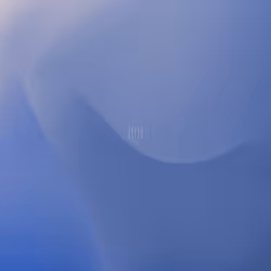 264