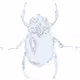 THE BUG V3