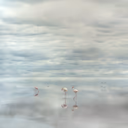 PHOTOPIA 2022 #6023
