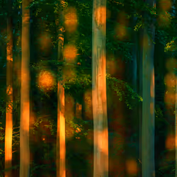 PHOTOPIA 2022 #6790
