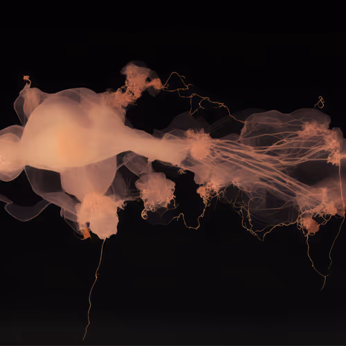 Collisions 1