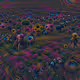 80