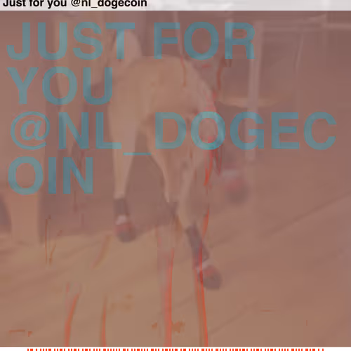 97893115776631406358578311364791314114457022850215080582091364958045739661443