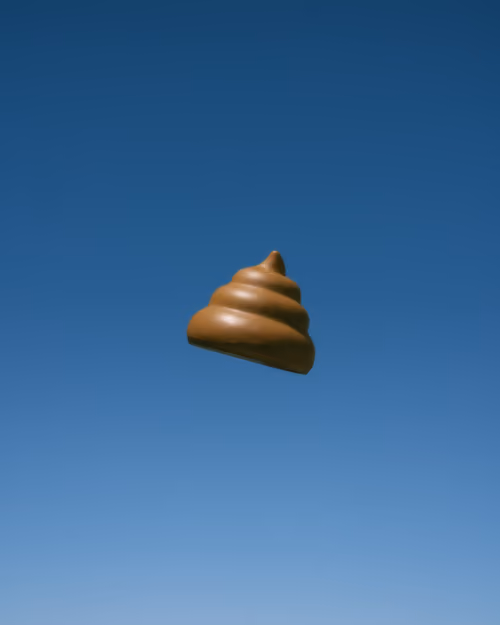 Item #52 Media