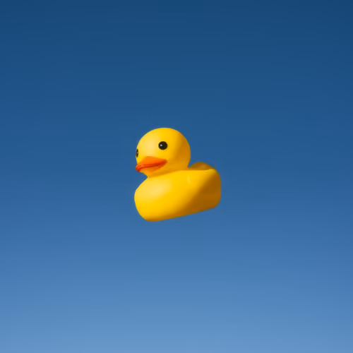 Rubber Duck