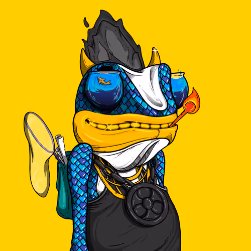 0xchams
