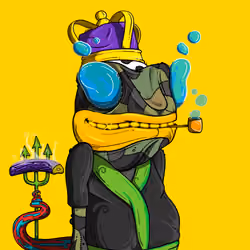 0xChams 2434