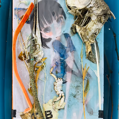 Nomemene Open Editions