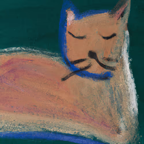 Basque Pussy By Momo