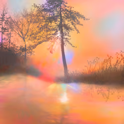orange grief;