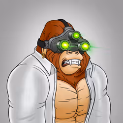 256