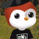 667