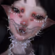 †mornië