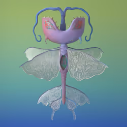 Paia - PolyPixos #1209