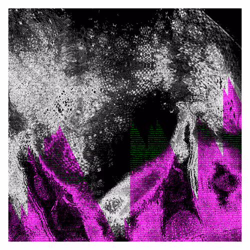 Item #3758059832 Media